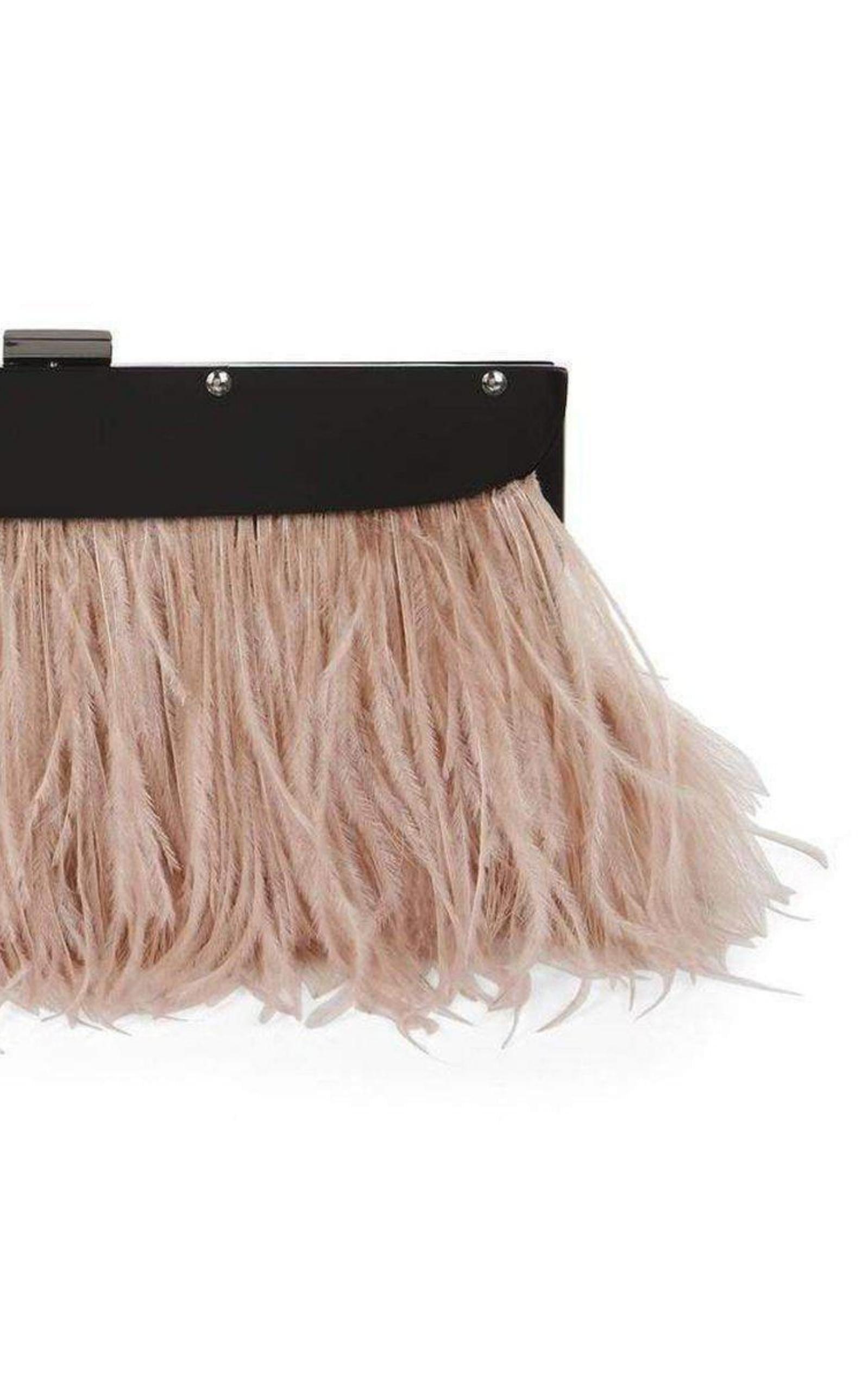 Portia Feather-Trim Lucite Clutch BCBGMAXAZRIA